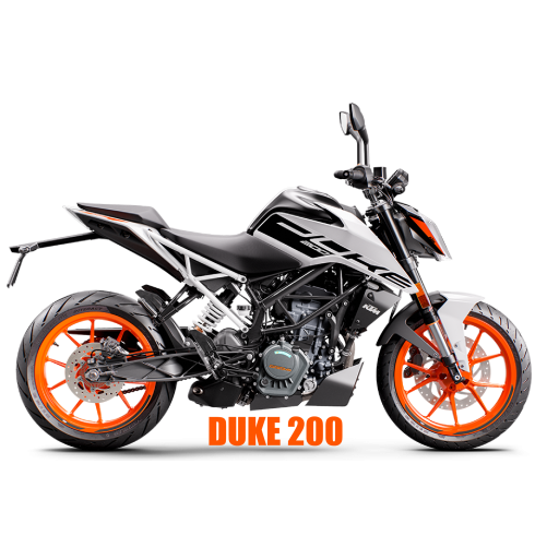 Duke-250